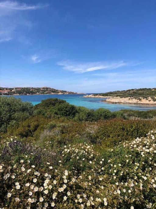 Casa Indipendente Zona Centrale La Maddalena  Zewnętrze zdjęcie